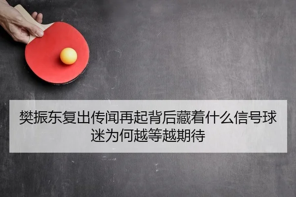 樊振东复出传闻再起背后藏着什么信号球迷为何越等越期待
