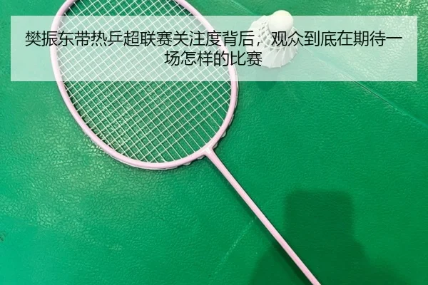 樊振东带热乒超联赛关注度背后，观众到底在期待一场怎样的比赛